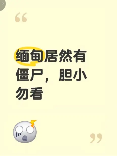 《缅甸僵尸出土事件》高清无删减完整版在线播放-缅北神秘事件现场全程录像揭秘-缅甸僵尸出土事件视频免费观看