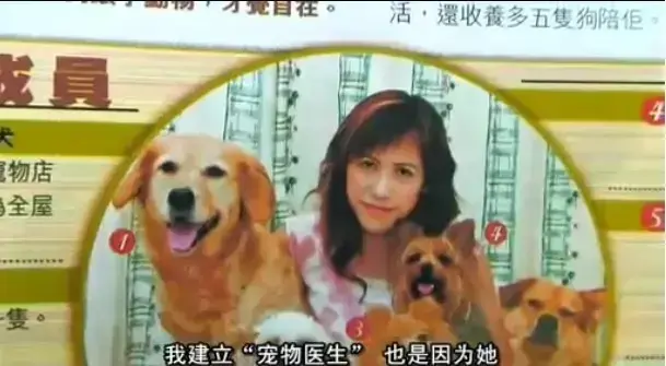 免费观看《女人与狗》高清未删减全集-欧美电影《女人与狗》1080P超清画质-夸克网盘无广告在线播放与下载