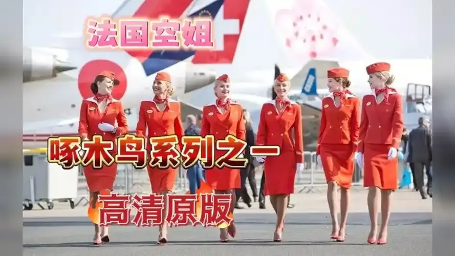 《法国空姐4》资源下载-法国空姐4完整版免费观看-超高清在线观看-全季无卡顿高清4K