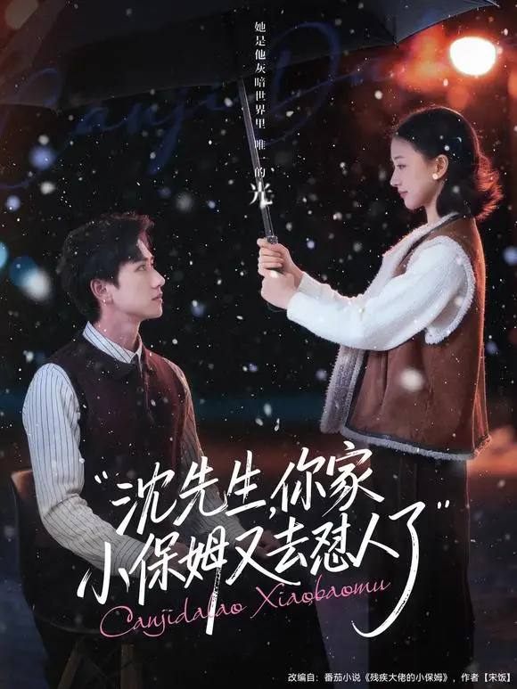沈先生你家小保姆又去怼人了全集在线看-82集全高清播放无广告-陈政阳廖银玥主演短剧网盘可下可看