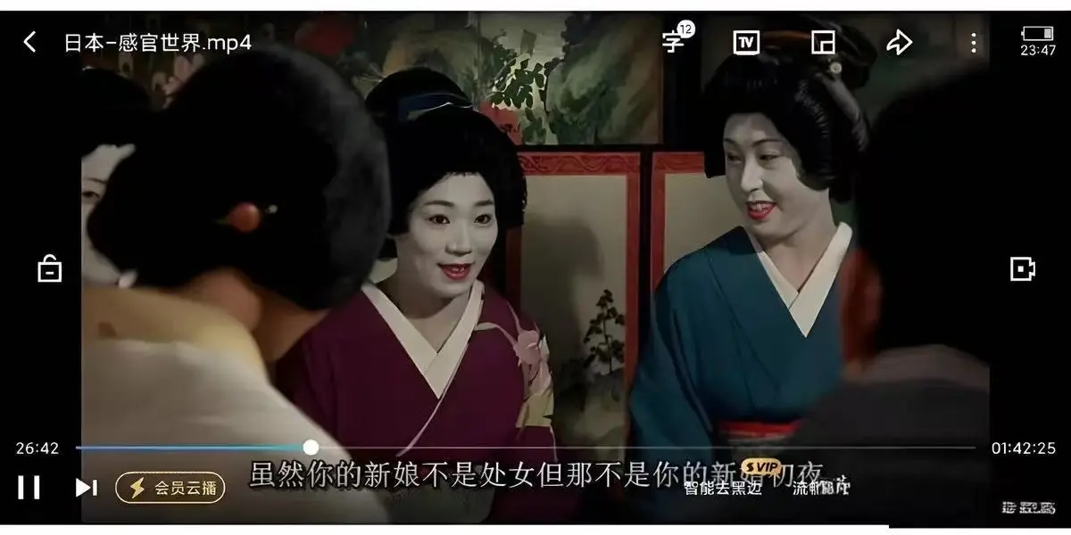 《感官世界》电影完整版无广告观看-《感官世界》高清未删减中字在线播放-感官世界剧情片全集免费看