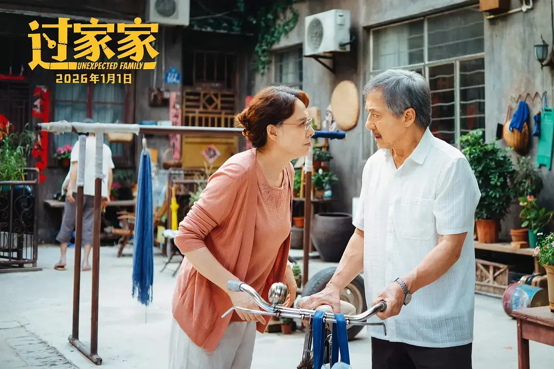 《过家家》电影完整版免费观看-过家家无广告在线播放全集-高清1080P资源-国产剧最新电影