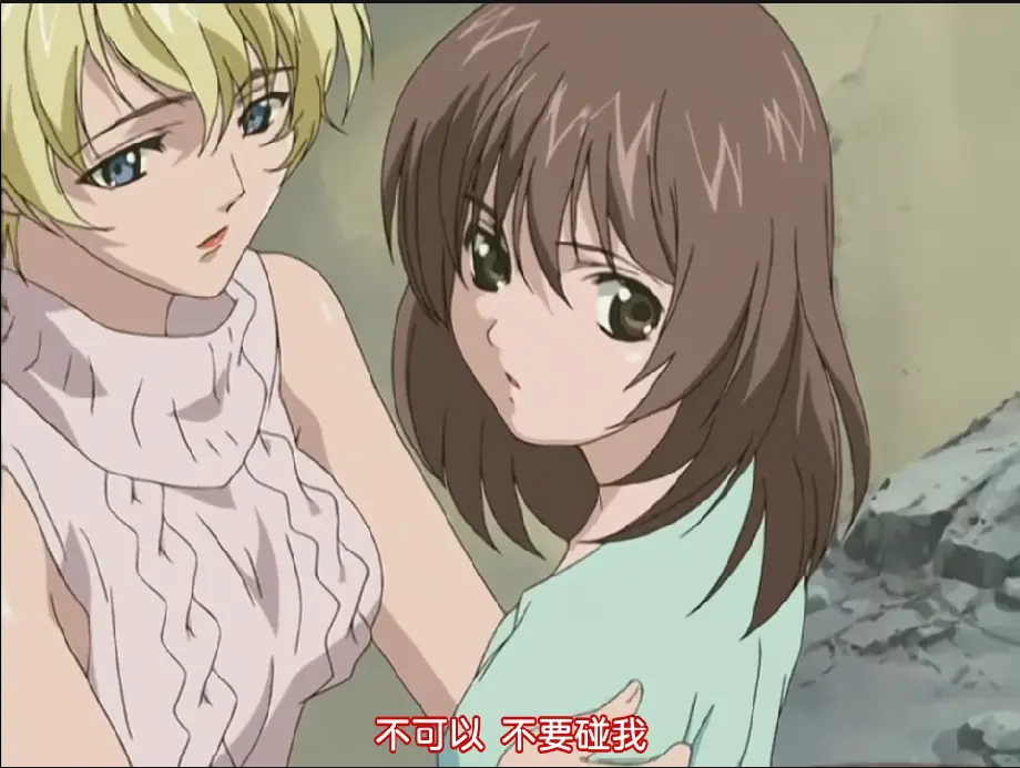 《DARK SHELL 监中之艳》全集未删减1080P超清无码中字-免费在线看无广告-DARK SHELL 监中之艳完整版夸克网盘资源下载