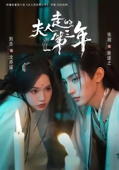 《夫人走的第三年》全集无删减免费播放