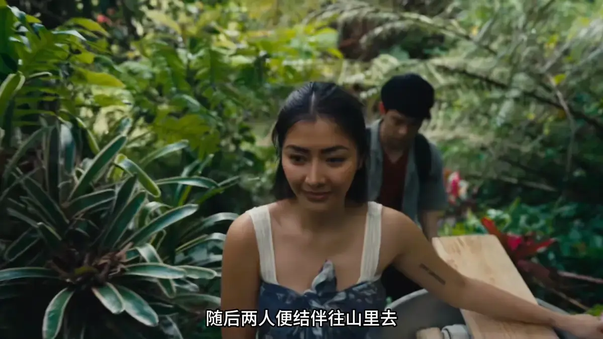 《迷情》相关资源图片