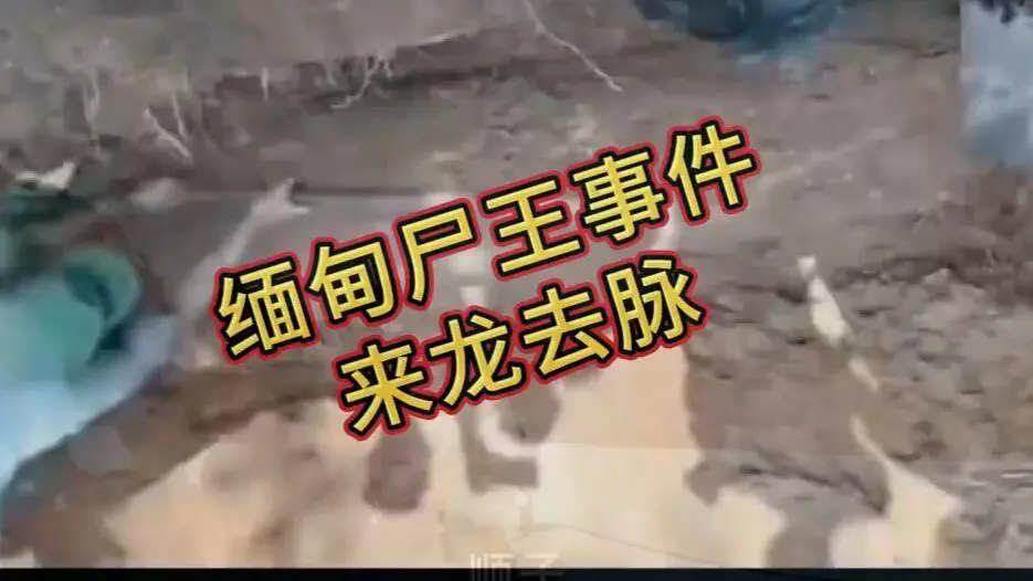 《缅甸僵尸出土事件视频》在线观看免费播放-完整版资源下载-高清无删减全程录像-缅甸僵尸出土事件始末原视频